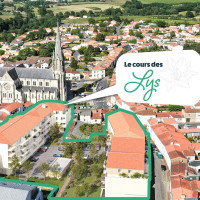 LE COURS DES LYS