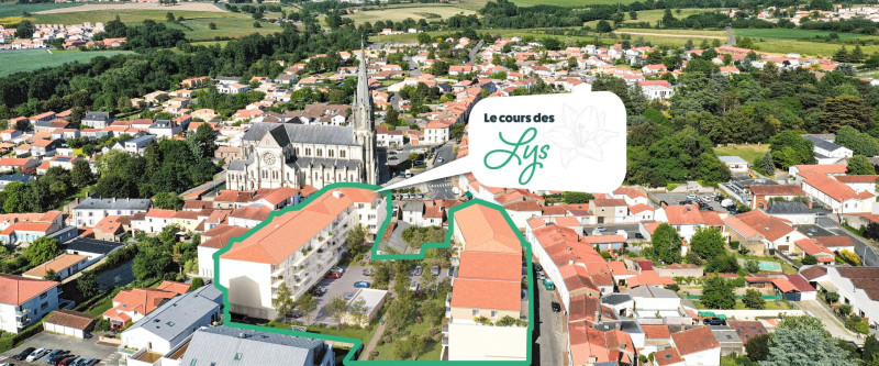 LE COURS DES LYS