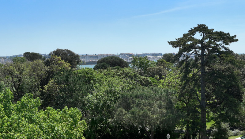 ACACIA