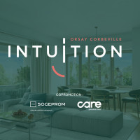 Intuition