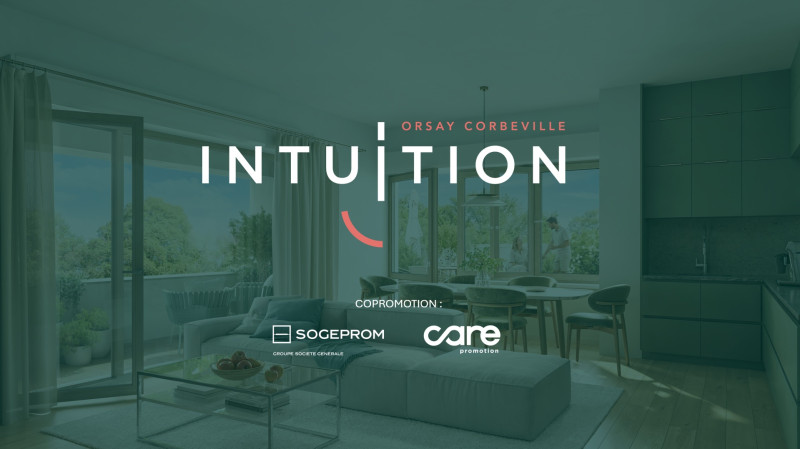 Intuition