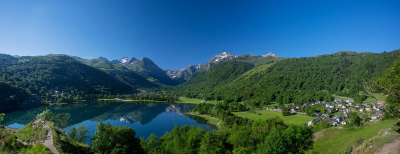 L'IRIS