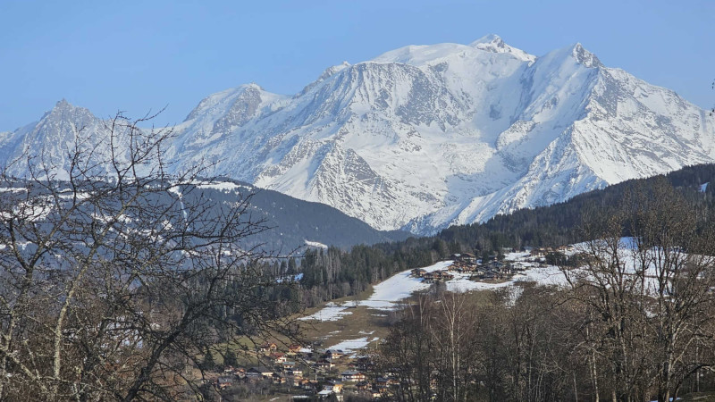 LES LODGES DU MONT BLANC