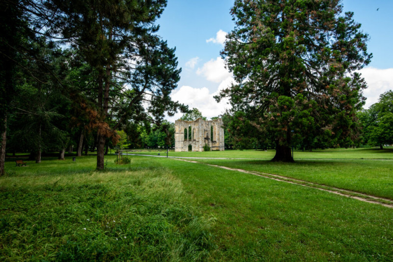 Les Allées des Lys