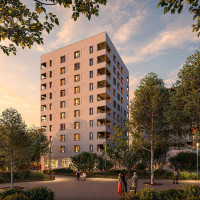 AVELIA