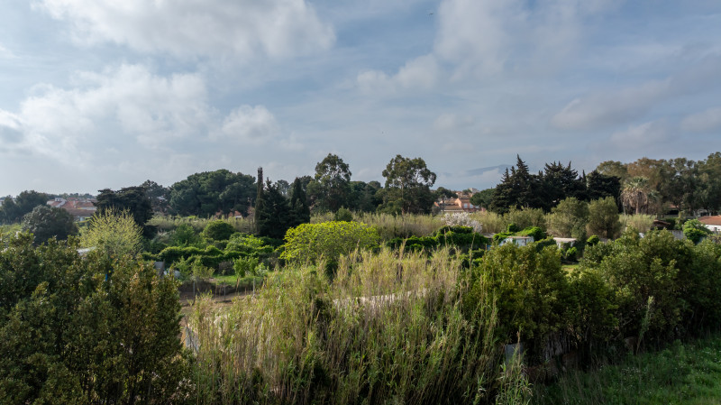BLUE GARDEN
