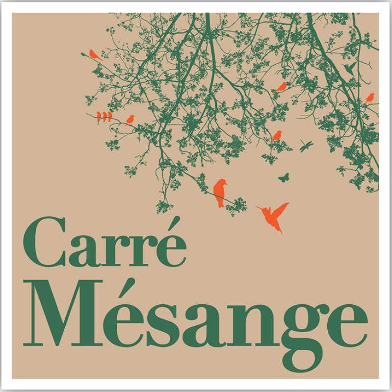 Carré Mésange
