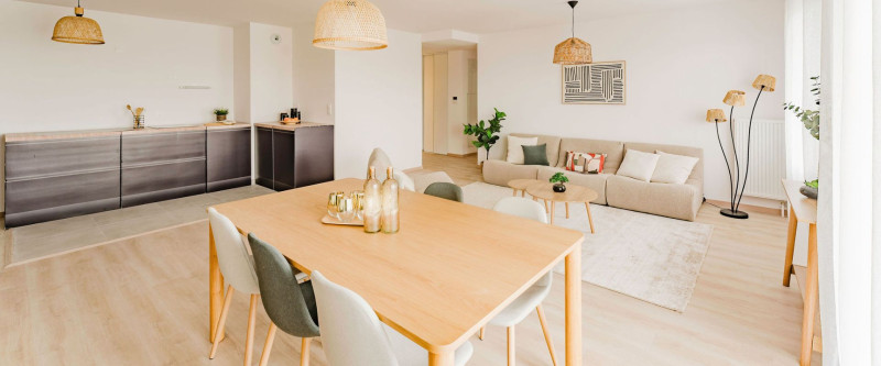 LES LUMIERES DE L'ESCAUT