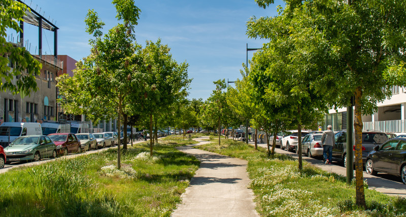 Les Arcades de l'Althéa