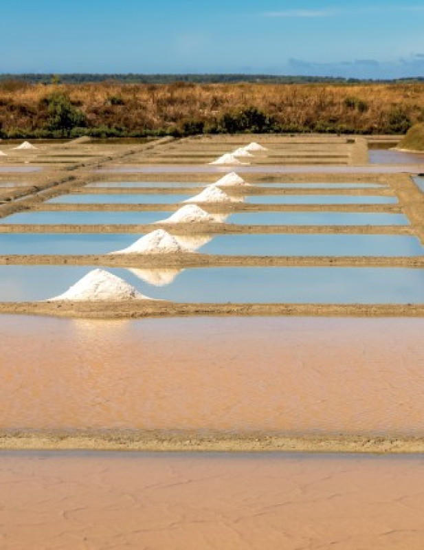 Les Salines