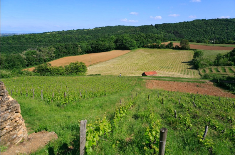 Les Jardins du Moulin